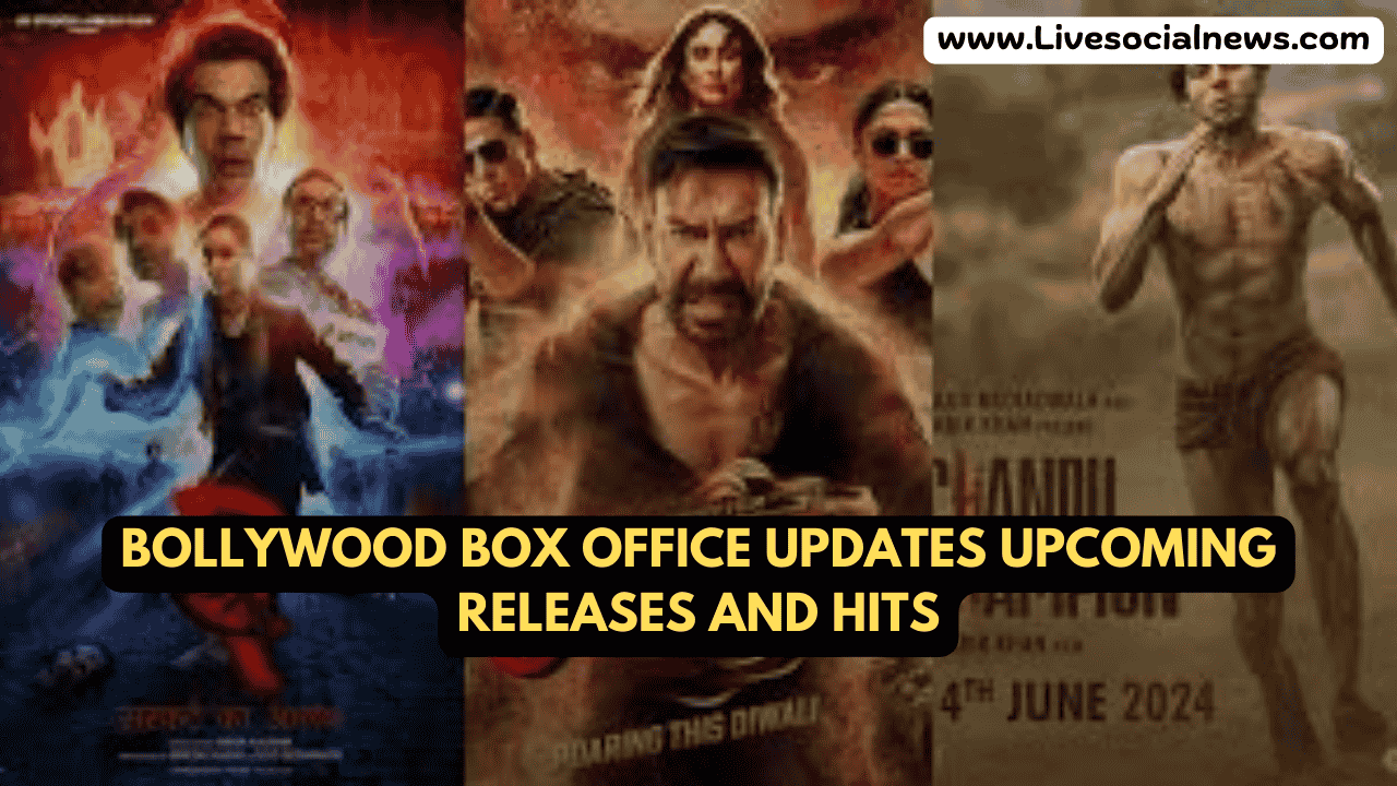 Bollywood Box Office Updates Upcoming Releases and Hits